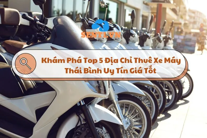 Khám Phá Top 5 Địa Chỉ Thuê Xe Máy Thái Bình Uy Tín Giá Tốt 2025