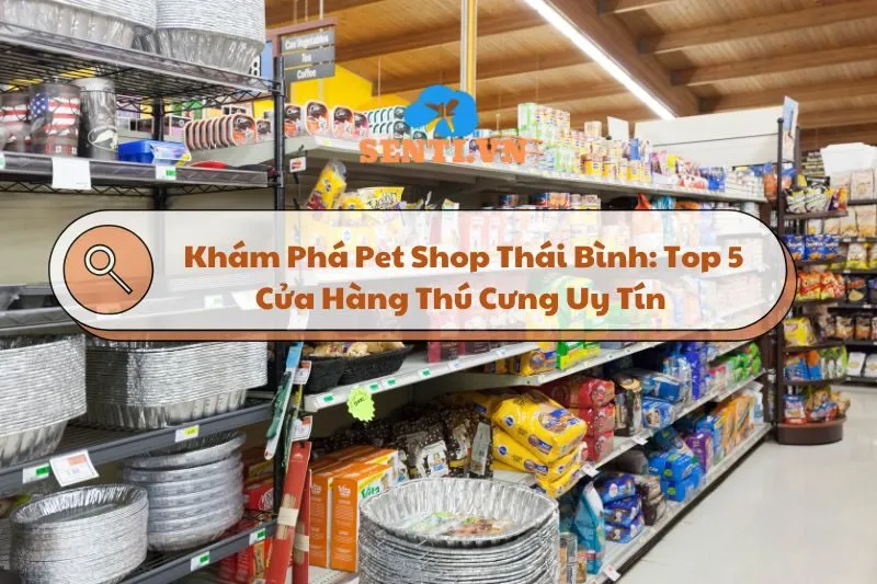 Khám Phá Pet Shop Thái Bình: Top 5 Cửa Hàng Thú Cưng Uy Tín 2025