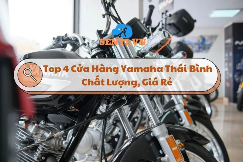 Khám phá Top 4 Cửa Hàng Yamaha Thái Bình Chất Lượng, Giá Rẻ 2025