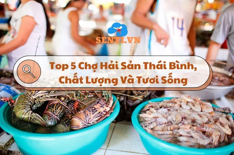 Khám Phá Top 5 Chợ Hải Sản Thái Bình, Chất Lượng Và Tươi Sống 2025