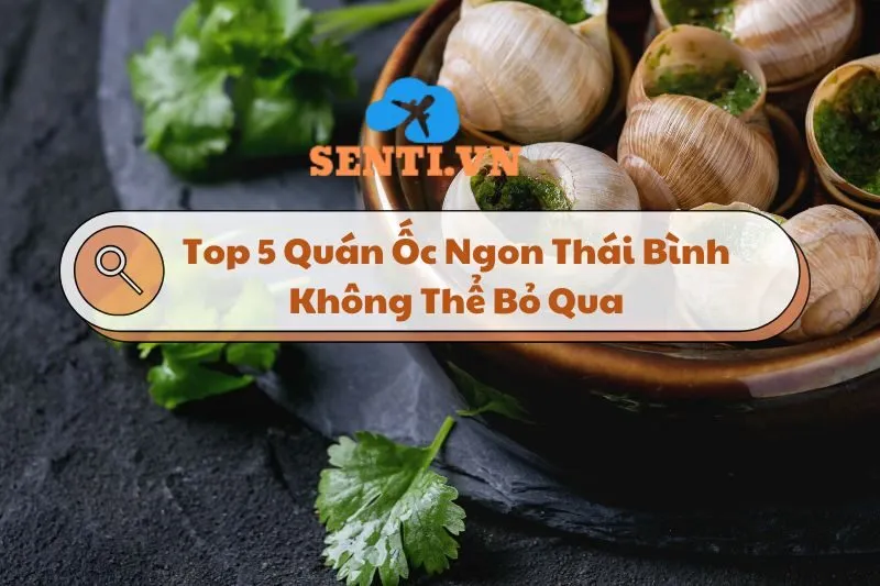 Khám Phá Top 5 Quán Ốc Ngon Thái Bình Không Thể Bỏ Qua 2025