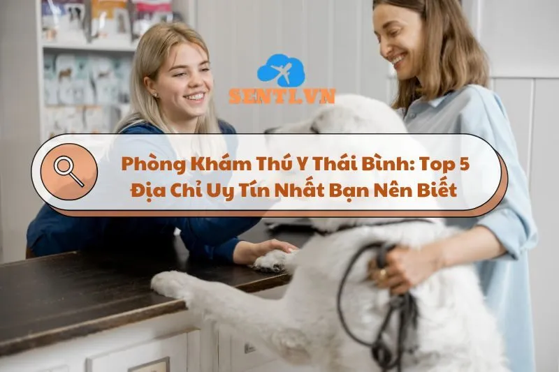 Phòng Khám Thú Y Thái Bình: Top 5 Địa Chỉ Uy Tín Nhất Bạn Nên Biết 2025