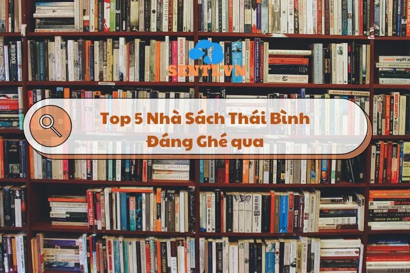 Top 5 Nhà Sách Thái Bình Đáng Ghé: Khám Phá Không Gian & Văn Hóa Đọc 2025