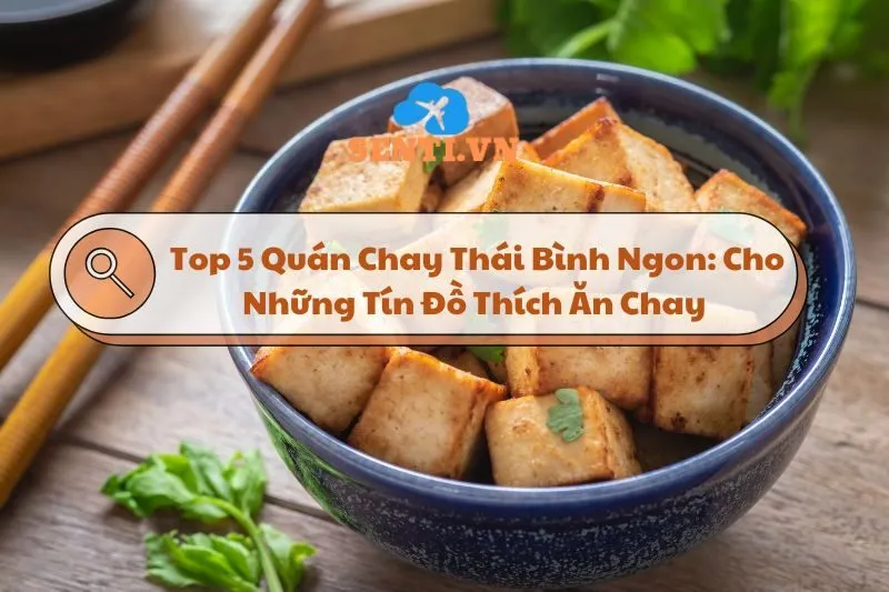 Top 5 Quán Chay Thái Bình Ngon: Cho Những Tín Đồ Thích Ăn Chay 2025