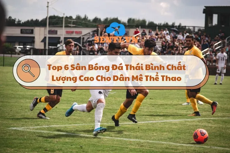 Top 6 Sân Bóng Đá Thái Bình Chất Lượng Cao Cho Dân Mê Thể Thao 2025