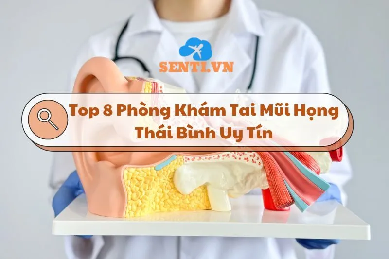 Top 8 Phòng Khám Tai Mũi Họng Thái Bình Uy Tín và Chất Lượng 2025