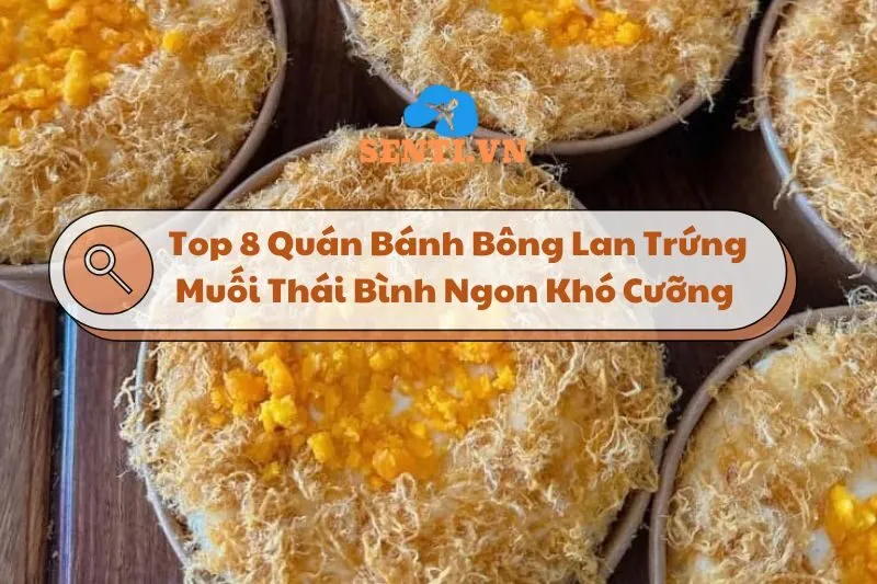 Top 8 Quán Bánh Bông Lan Trứng Muối Thái Bình Ngon Khó Cưỡng 2025