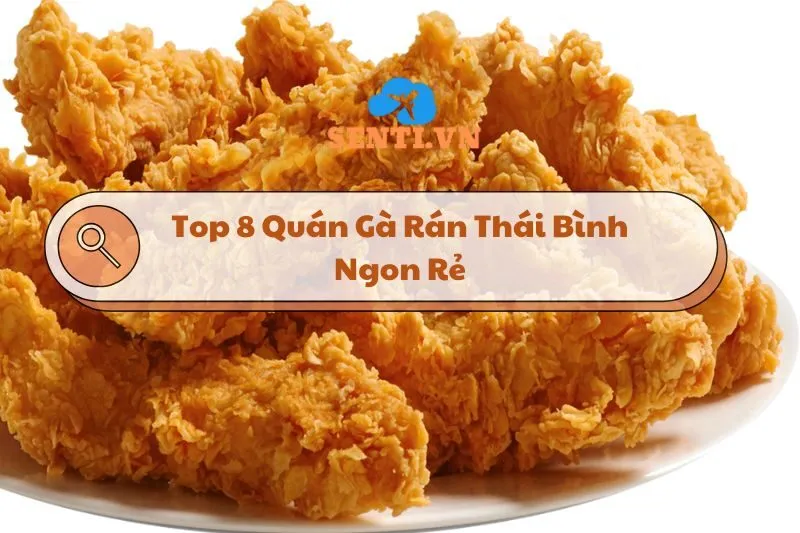 Top 8 Quán Gà Rán Thái Bình Ngon, Giá Cả Hợp Lý 2025: Hãy Thử Ngay