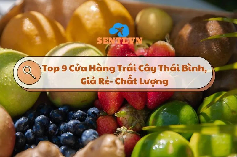 Top 9 Cửa Hàng Trái Cây Thái Bình, Giả Rẻ, Chất Lượng 2025