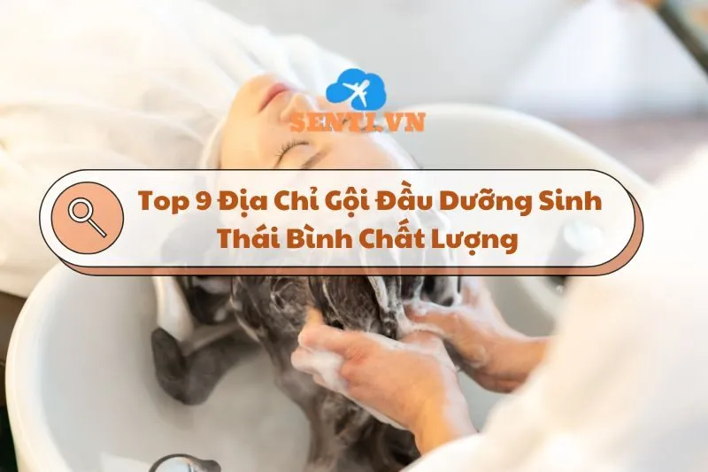 Top 9 Địa Chỉ Gội Đầu Dưỡng Sinh Thái Bình Chất Lượng Cho Bạn Thư Giãn 2025