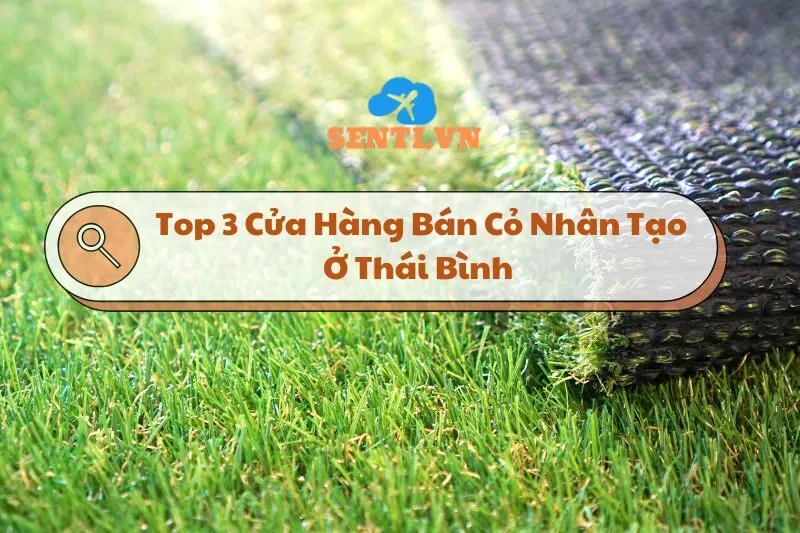 Cỏ Nhân Tạo ở Thái Bình: Top 3 Cửa Hàng Uy Tín và Chất Lượng 2025