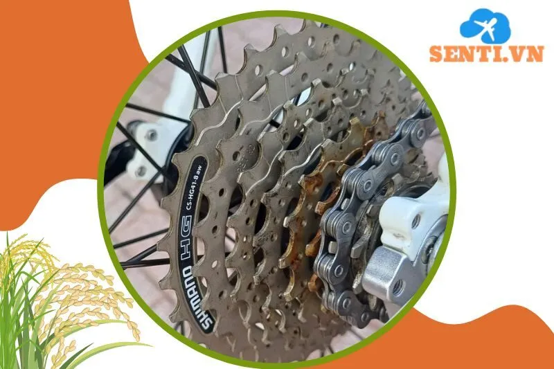 Cửa hàng xe đạp Bon Bon