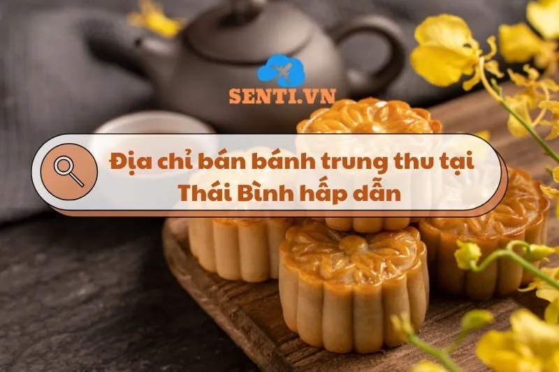 Danh sách các địa chỉ bán bánh trung thu tại Thái Bình hấp dẫn 2025