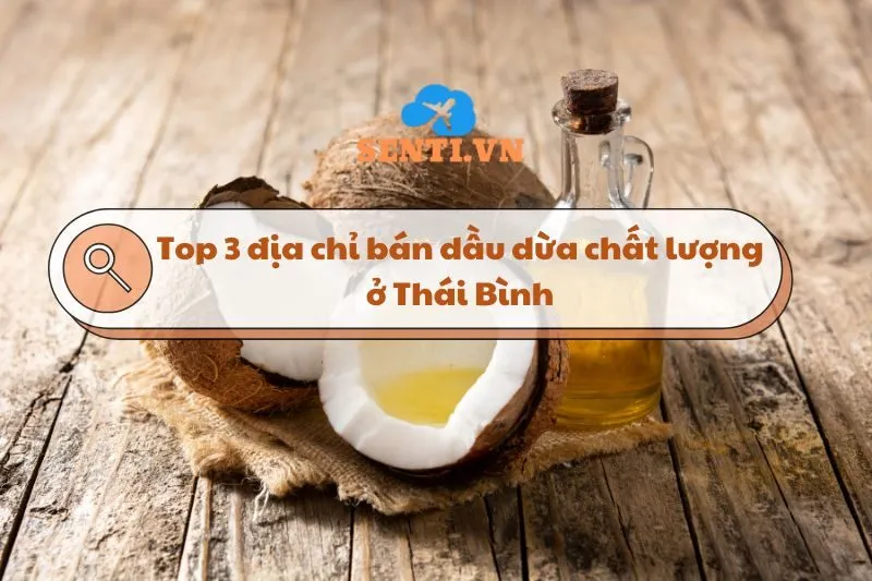 Dầu dừa ở Thái Bình: Top 3 địa chỉ uy tín bạn nên ghé 2025