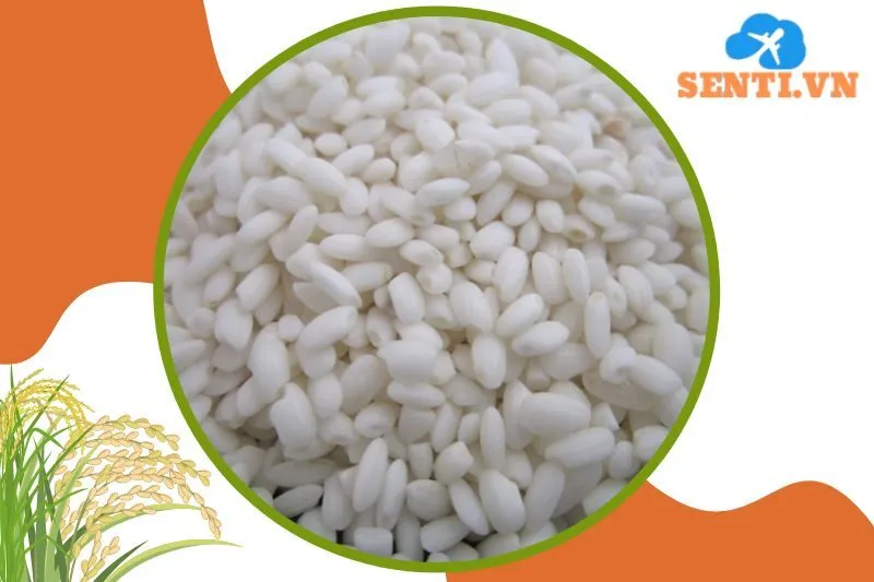 Gạo Nếp Cái Hoa Vàng – Nguyên liệu cho món truyền thống