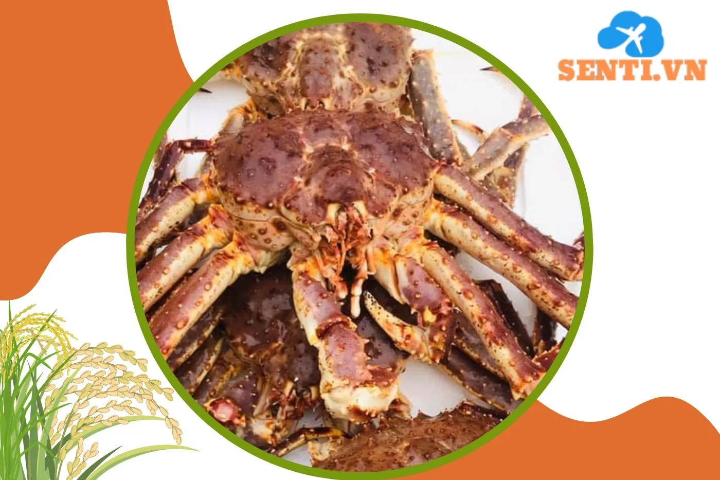 Hải Sản Trang Cua