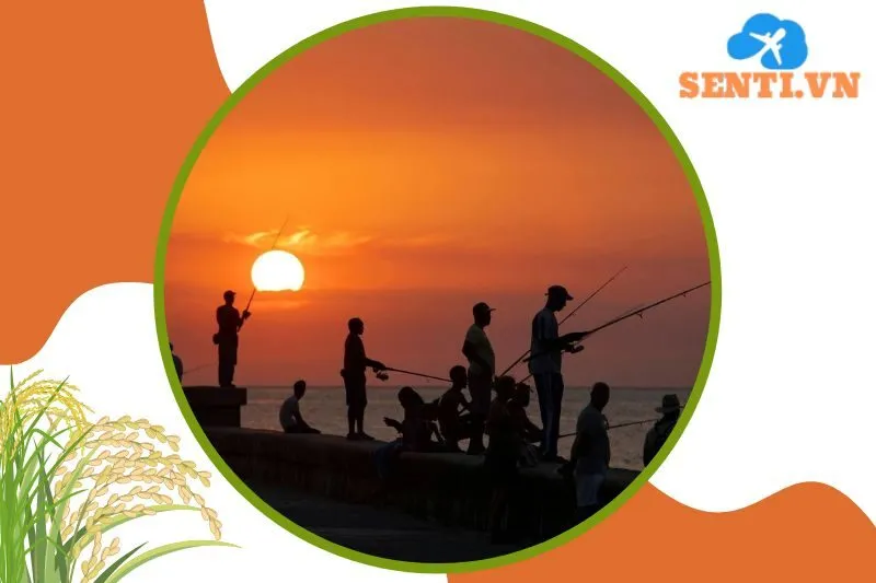 Hồ câu giải trí Anh Thư