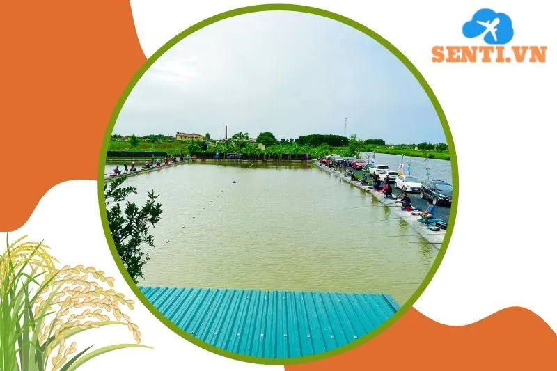 Hồ câu Kiến Giang