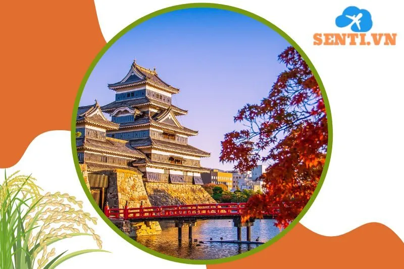 Nhật Bản Chờ Tôi Nhé