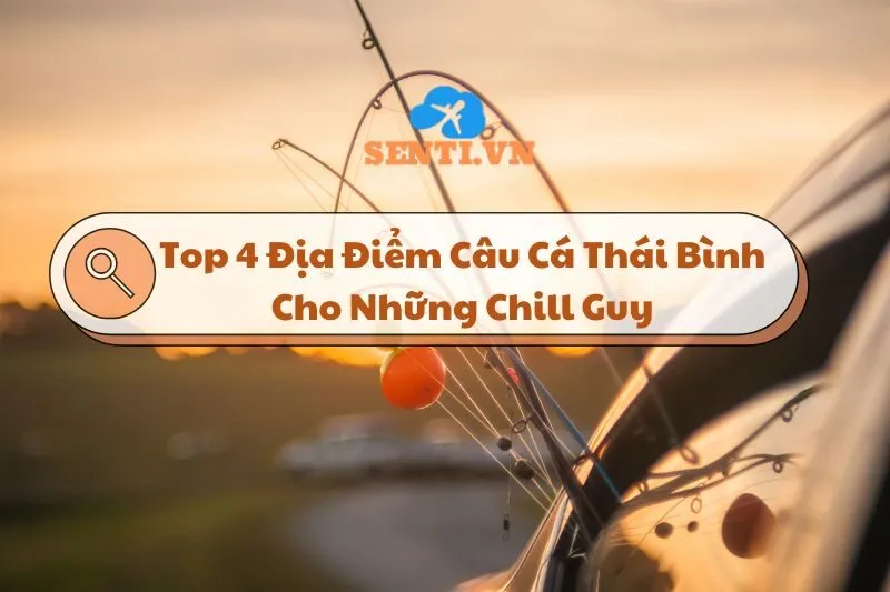 Top 4 Địa Điểm Câu Cá Thái Bình 2025: Với Khung Gian Thư Giãn
