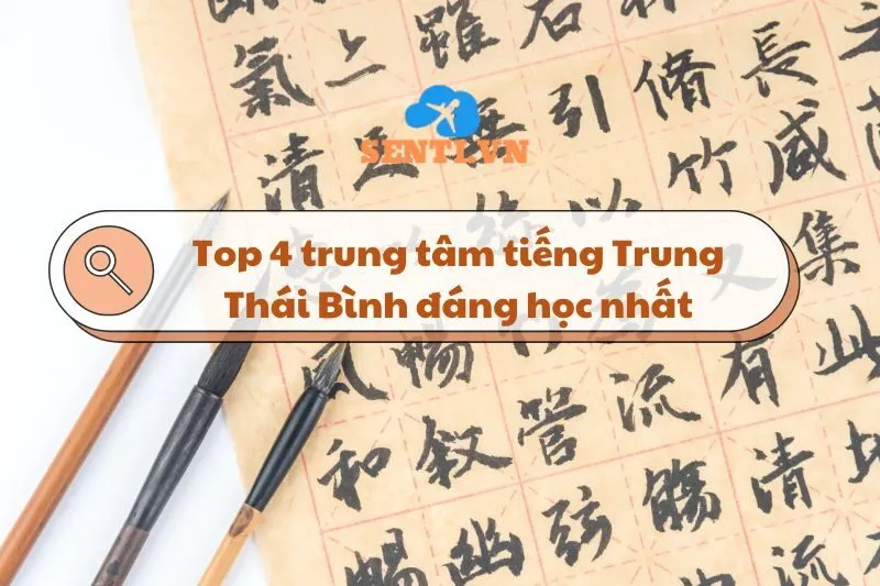 Top 4 trung tâm tiếng Trung Thái Bình đáng học nhất 2025