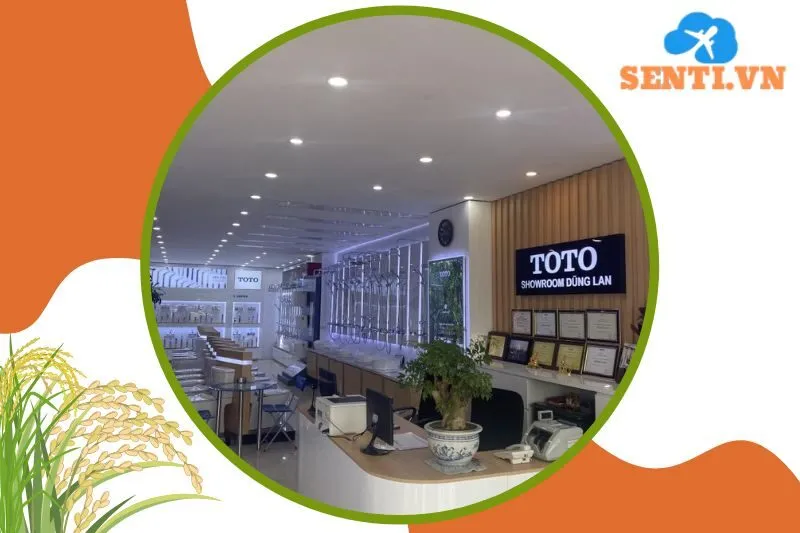 Toto Dung Lan Thái Bình