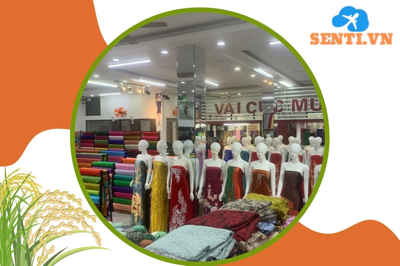 Vải Cúc Mười 2