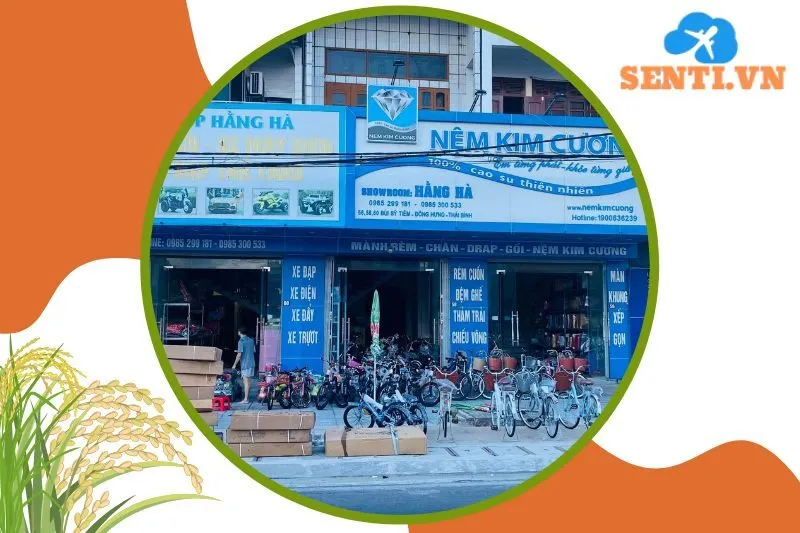 Xe đạp nhập khẩu chất lượng tại Thái Bình