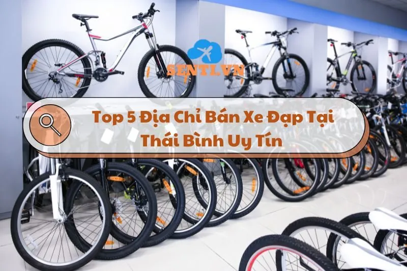 Xe đạp Thái Bình: Top 5 Địa Chỉ Uy Tín Chất Lượng 2025