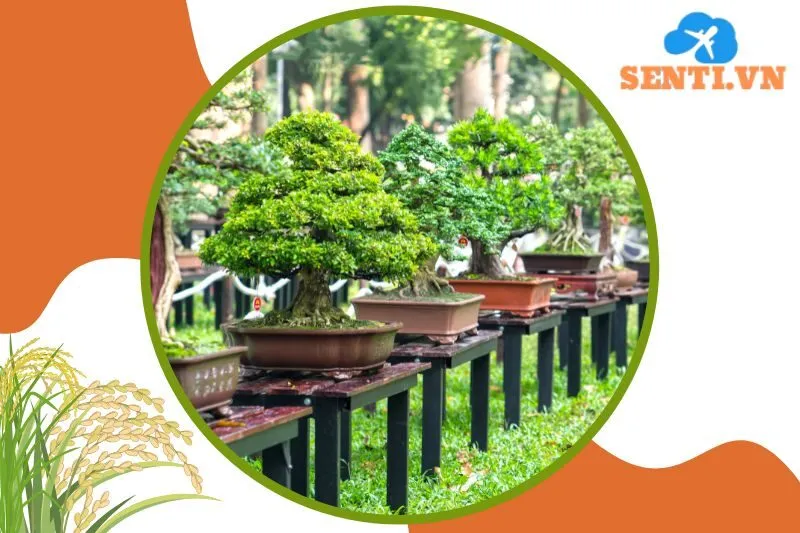 Nhà vườn Thủy Ngát