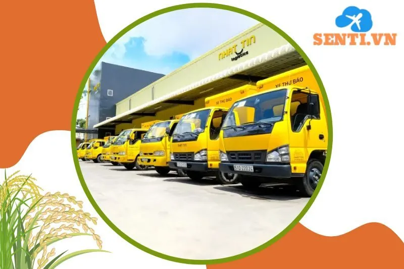Nhất Tín Logistics – Hệ thống giao hàng rộng khắp, dịch vụ đa dạng