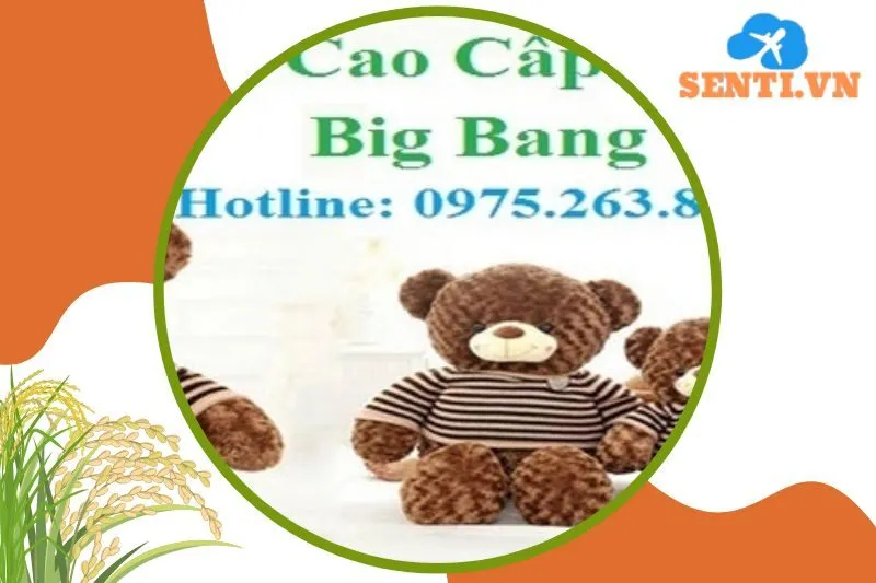 Shop Gấu Bông Teddy Big Bang