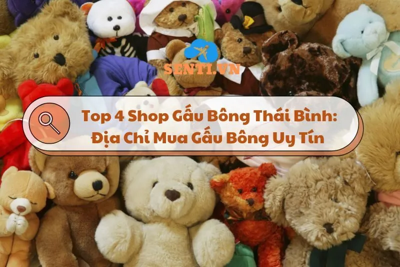 Top 4 Shop Gấu Bông Thái Bình: Địa Chỉ Mua Gấu Bông Uy Tín 2025