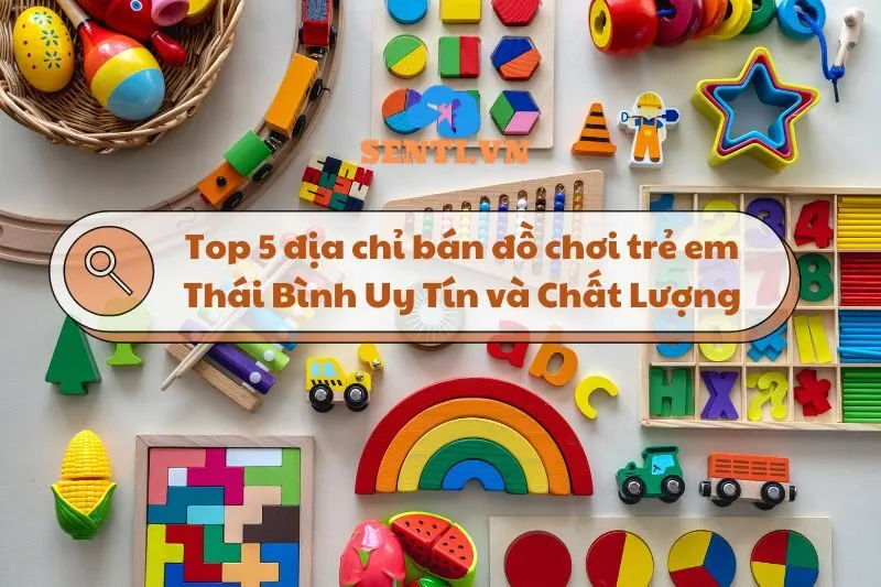 Top 5 địa chỉ bán đồ chơi trẻ em Thái Bình Uy Tín và Chất Lượng 2025