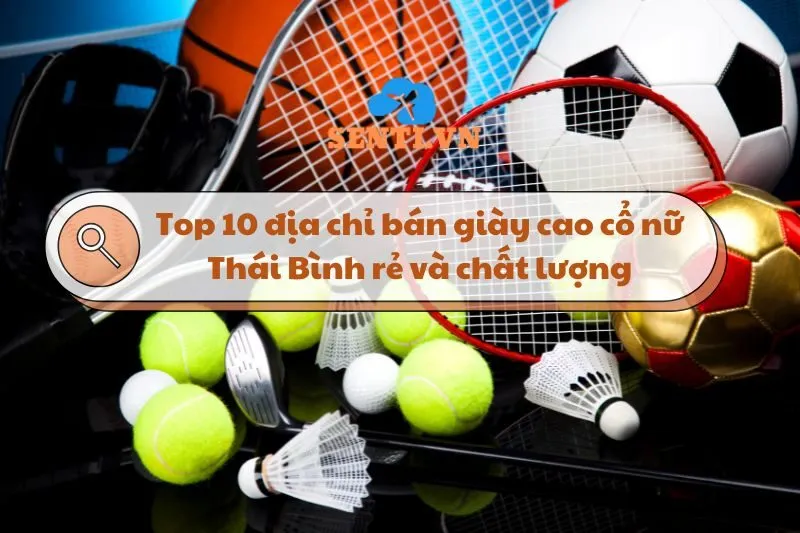 Top 5 Địa chỉ bán dụng cụ thể thao Thái Bình 2025 chất lượng, uy tín