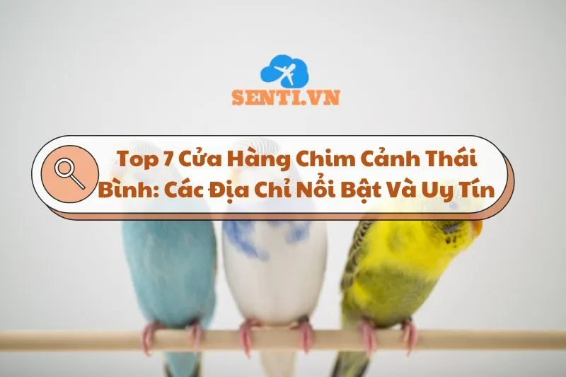 Top 7 Cửa Hàng Chim Cảnh Thái Bình: Các Địa Chỉ Nổi Bật Và Uy Tín 2025
